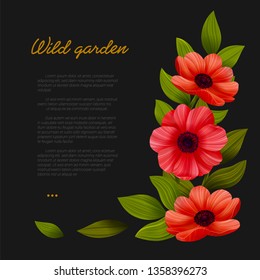 Flowers. Web banner template with Red poppies on black background. Vector illustration