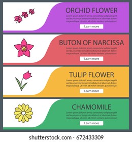 Flowers web banner templates set. Orchid branch, narcissus head, tulip, chamomile. Website color menu items. Vector headers design concepts