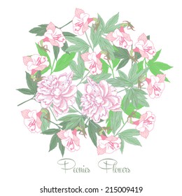 Flowers  and white pink peonies. Vector illustration