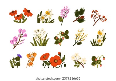 Flowers, wild plants, berries set. Botanical floral design elements. Natural flora decorations. Blooms, wildflowers, branches, twigs. Flat graphic vector illustrations isolated on white background