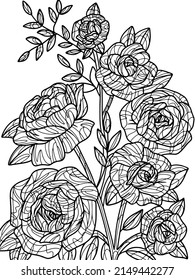Flores Rose silvestres, objeto aislado, fondo blanco. Antiestrés en libros de colores para niños y adultos.