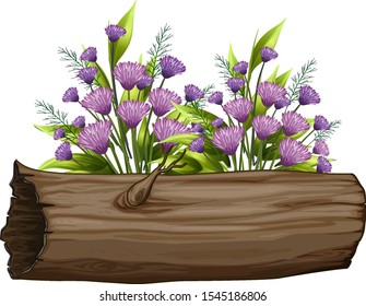 Flowers and wooden log on white background illustration