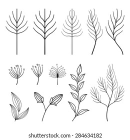flowers for your design, hand drawn sketch set flowers
