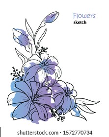 Flowers,color background,blue blot.Hand drawn vector illustration