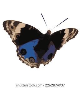 Flower-sucking butterfly insect vector decoration