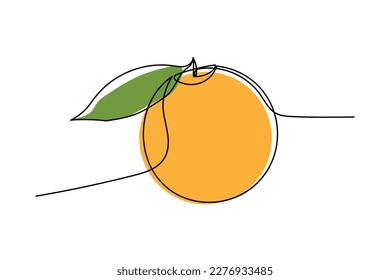 flowervector single line illustration of an orange fruit