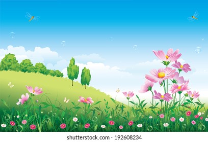 Flowery meadow 