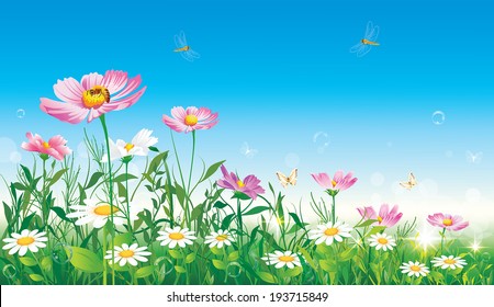 Flowery meadow
