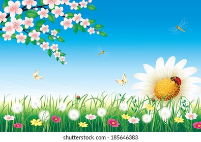 Flowery meadow with daisies 