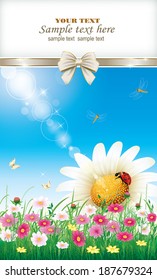 Flowery meadow with daisies