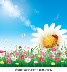 Flowery meadow with daisies
