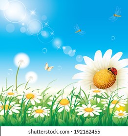 Flowery Meadow Daisies Stock Vector (Royalty Free) 192162455 | Shutterstock