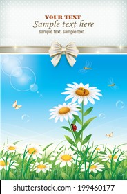 Flowery meadow with daisies