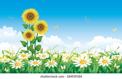 Flowery meadow with daisies and sunflowers