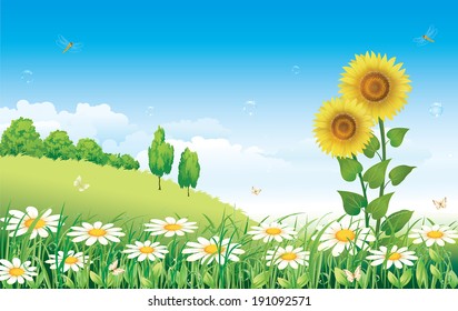 Flowery meadow with daisies and sunflowers