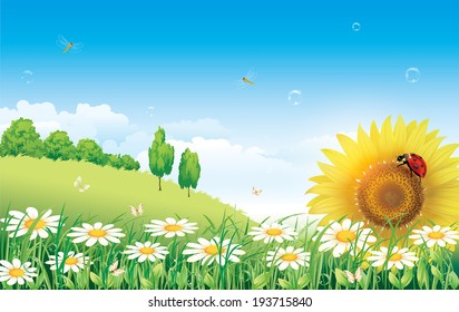 Flowery meadow with daisies and sunflowers