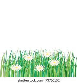 flowery meadow full of daisies and fresh grass