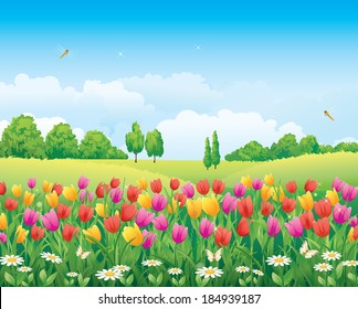 Flowery meadow with tulips