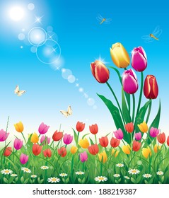 Flowery meadow with tulips