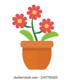 
A flowery plant with leaves and stems denoting barberton daisy 
