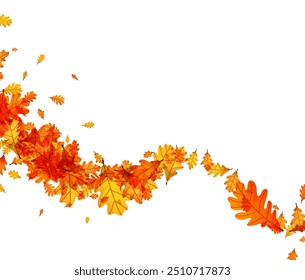 Flowing arrangement of autumn oak leaves in vibrant orange and yellow tones. Vector illustration.