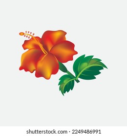flows  vector design free dawonlod 