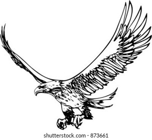 Flting Eagle - vehicle graphic. Ready for vinyl cutting. Check my portfolio for many more images.