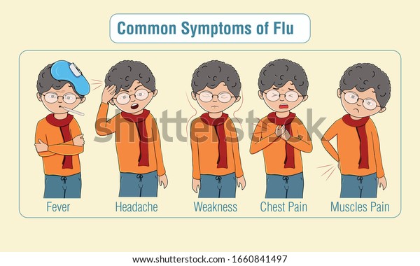 Flu Symptoms Infographic Fever Cough Weakness Stock Vector (Royalty ...