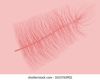 Fluff. Beautiful Hand Drawn Feather. Feather Isolated. Fluff for Wallpaper, Illustration, Carnival, Masquerade, Invitation, Paper, Textile. Decoration Element for Your Design. Red Feathers. 
