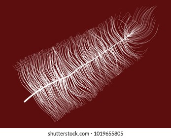 Fluff. Beautiful Hand Drawn Feather. Feather Isolated. Fluff for Wallpaper, Illustration, Carnival, Masquerade, Invitation, Paper, Textile. Decoration Element for Your Design. White Feather. Fluffy