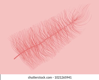 Fluff. Beautiful Hand Drawn Feather. Feather Isolated. Fluff for Wallpaper, Illustration, Carnival, Masquerade, Invitation, Paper, Textile. Decoration Element for Your Design. Red Feathers. 