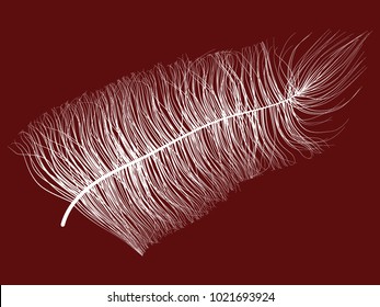 Fluff. Beautiful Hand Drawn Feather. Feather Isolated. Fluff for Wallpaper, Illustration, Carnival, Masquerade, Invitation, Paper, Textile. Decoration Element for Your Design. White Feather. Fluffy