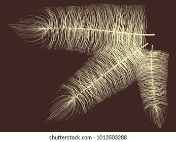 Fluff. Beautiful Hand Drawn Feathers. Angel Feathers Isolated. Fluff for Wallpaper, Illustration, Carnival, Masquerade, Invitation, Paper, Textile. Decoration Element for Your Design. Beige Fluff.