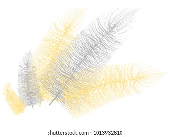 Fluff. Beautiful Hand Drawn Feathers. Feathers Isolated. Fluff for Wallpaper, Illustration, Carnival, Masquerade, Invitation, Paper, Textile. Decoration Element for Your Design. Grey Feathers. Fluffy.