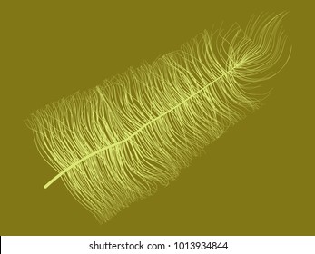 Fluff. Beautiful Hand Drawn Feathers. Feathers Isolated. Fluff for Wallpaper, Illustration, Carnival, Masquerade, Invitation, Paper, Textile. Decoration Element for Your Design. Feather. Fluff Vector