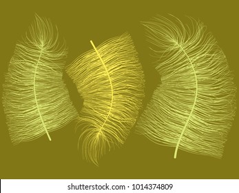 Fluff. Beautiful Hand Drawn Feathers. Feathers Isolated. Fluff for Wallpaper, Illustration, Carnival, Masquerade, Invitation, Paper, Textile. Decoration Element for Your Design. Feather. Fluff Vector