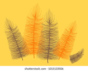 Fluff. Beautiful Hand Drawn Feathers. Feathers Isolated. Fluff for Wallpaper, Illustration, Carnival, Masquerade, Invitation, Textile. Decoration Element for Your Design. Orange Feathers. Fluffy.