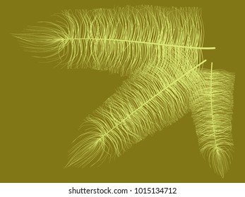 Fluff. Beautiful Hand Drawn Feathers. Feathers Isolated. Fluff for Wallpaper, Illustration, Carnival, Masquerade, Invitation, Paper, Textile. Decoration Element for Your Design. Feather. Fluff Vector