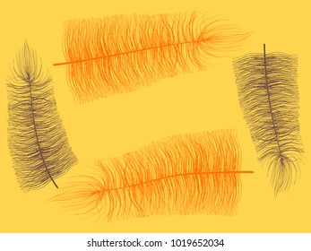 Fluff. Beautiful Hand Drawn Feathers. Feathers Isolated. Fluff for Wallpaper, Illustration, Carnival, Masquerade, Invitation, Textile. Decoration Element for Your Design. Orange Feathers. Fluffy.