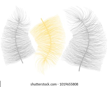 Fluff. Beautiful Hand Drawn Feathers. Feathers Isolated. Fluff for Wallpaper, Illustration, Carnival, Masquerade, Invitation, Paper, Textile. Decoration Element for Your Design. Grey Feathers. Fluffy.