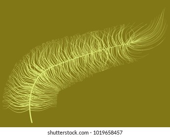 Fluff. Beautiful Hand Drawn Feathers. Feathers Isolated. Fluff for Wallpaper, Illustration, Carnival, Masquerade, Invitation, Paper, Textile. Decoration Element for Your Design. Feather. Fluff Vector