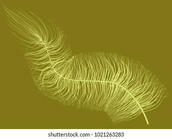 Fluff. Beautiful Hand Drawn Feathers. Feathers Isolated. Fluff for Wallpaper, Illustration, Carnival, Masquerade, Invitation, Paper, Textile. Decoration Element for Your Design. Feather. Fluff Vector