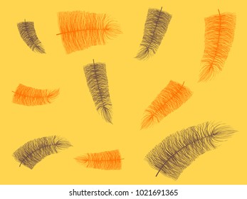 Fluff. Beautiful Hand Drawn Feathers. Feathers Isolated. Fluff for Wallpaper, Illustration, Carnival, Masquerade, Invitation, Textile. Decoration Element for Your Design. Orange Feathers. Fluffy.