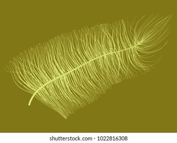 Fluff. Beautiful Hand Drawn Feathers. Feathers Isolated. Fluff for Wallpaper, Illustration, Carnival, Masquerade, Invitation, Paper, Textile. Decoration Element for Your Design. Feather. Fluff Vector
