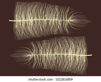Fluff. Beautiful Hand Drawn Feathers. Angel Feathers Isolated. Fluff for Wallpaper, Illustration, Carnival, Masquerade, Invitation, Paper, Textile. Decoration Element for Your Design. Beige Fluff.