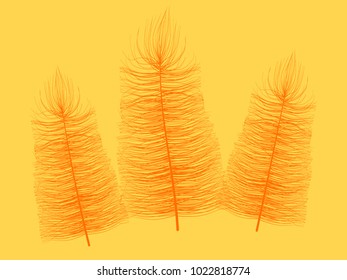 Fluff. Beautiful Hand Drawn Feathers. Feathers Isolated. Fluff for Wallpaper, Illustration, Carnival, Masquerade, Invitation, Textile. Decoration Element for Your Design. Orange Feathers. Fluffy.