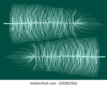 Fluff. Beautiful Hand Drawn Feathers. Feathers Isolated. Fluff for Wallpaper, Illustration, Carnival, Masquerade, Invitation, Paper, Textile. Decoration Element for Your Design. Blue Feathers. Fluffy.