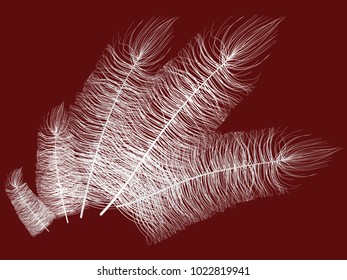 Fluff. Beautiful Hand Drawn Feathers. Feathers Isolated. Fluff for Wallpaper, Illustration, Carnival, Masquerade, Invitation, Paper, Textile. Decoration Element for Your Design. White Feathers. Fluffy