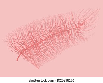 Fluff. Beautiful Hand Drawn Feathers Isolated. Red Fluff for Wallpaper, Illustration, Carnival, Masquerade, Invitation, Paper, Textile. Decoration Element for Your Design. Feather. Angelic.