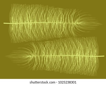 Fluff. Beautiful Hand Drawn Feathers Isolated. Fluff for Wallpaper, Illustration, Carnival, Masquerade, Invitation, Paper, Textile. Decoration Element for Your Design. Feather. Angelic.